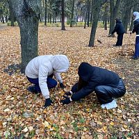 Активно работаем над поддержанием чистоты в нашем городе!