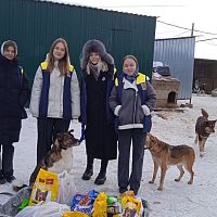  Акция "Новый год с лапками"