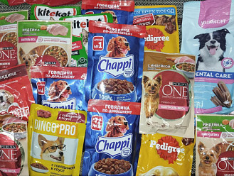 Акция помощи Муниципальному приюту «Право на жизнь» в Чебоксарах!