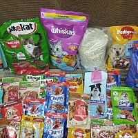 Акция помощи Муниципальному приюту «Право на жизнь» в Чебоксарах!