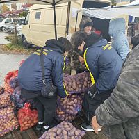 «Дары осени 2025»