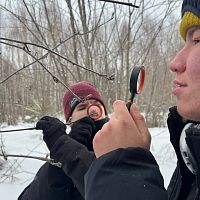  Урок –экскурсия в Ботаническом саду«Зимний лес»