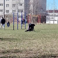 Экологический субботник - мы сделали город чище! 