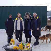  Акция "Новый год с лапками"