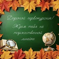 Внимание, первокурсники!