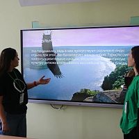 Второй соревновательный день чемпионата по профессиональному мастерству «Профессионалы»