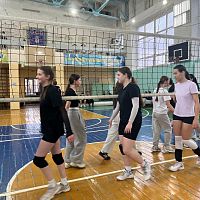 Товарищеский матч по волейболу 