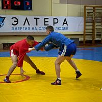 Самбисты Чебоксар блистали на татами!