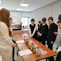 Профориентация в рамках Регионального чемпионата по профессиональному мастерству «Профессионалы» - 2026