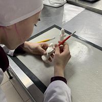 Внутренние отборочные соревнования «Молодые профессионалы» WorldSkills Russia по компетенции «Кондитерское дело»